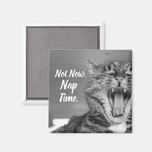 Íman Tabby Cat Yawning, Agora Não É Hora Do Sono