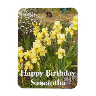 Íman Tabby Cat Yellow Iris Flower Birday Magnet