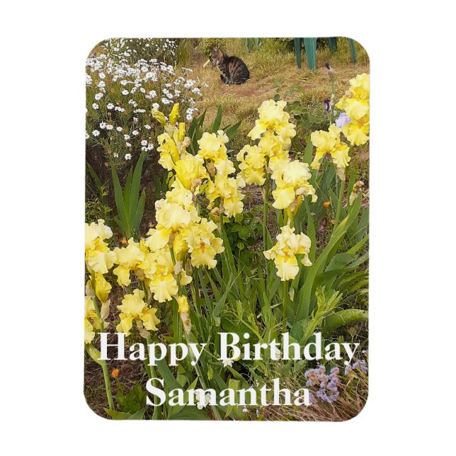 Íman Tabby Cat Yellow Iris Flower Birday Magnet (Vertical)