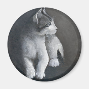 Íman Tabby Kitten