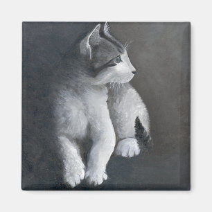 Íman Tabby Kitten