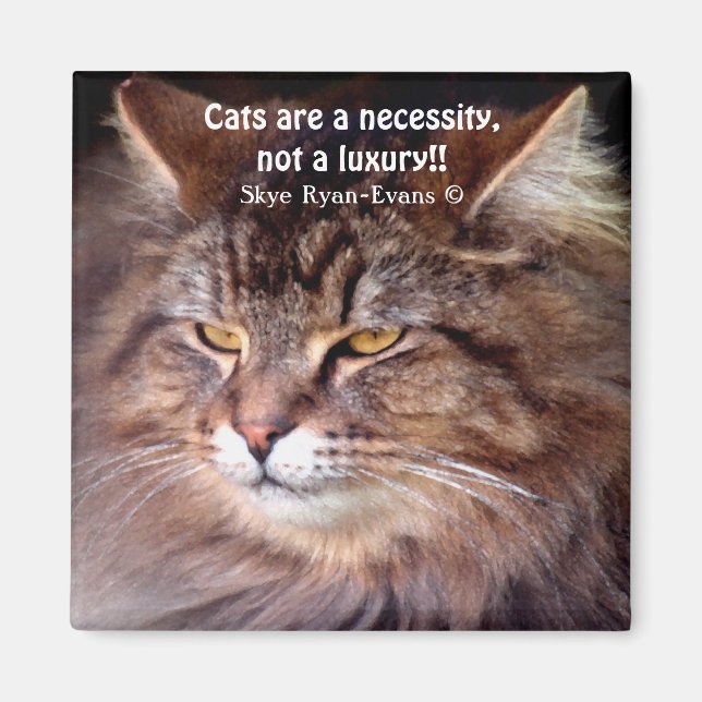 Íman Tabby Maine Coon Cat Lover & Poem Magnet (Frente)