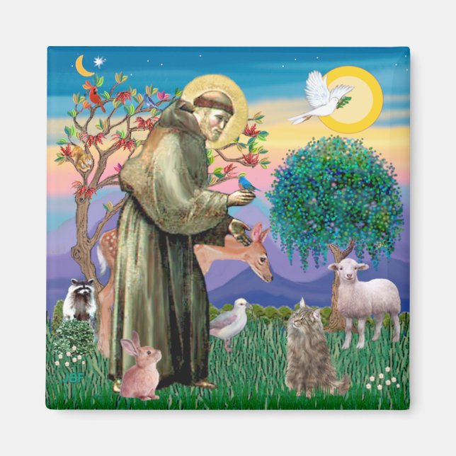 Íman Tabby Norway Forest Cat - Rua Francis (Frente)