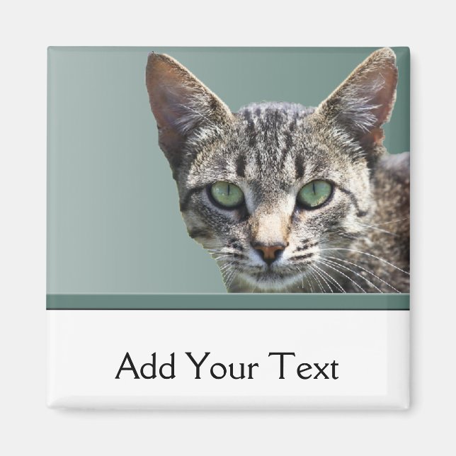 Íman Tabuleiro com Olhos Verdes (Frente)