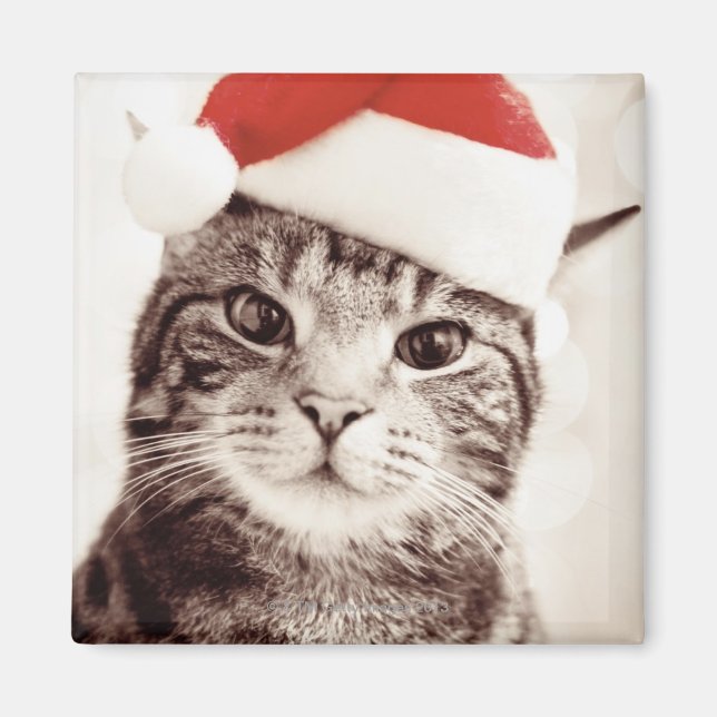 Íman Tabuleiro doméstico vestindo chapéu de Natal verme (Frente)