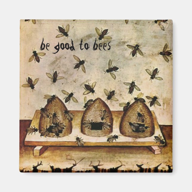 Íman Taccuino buzzart (Frente)