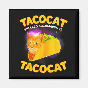 Íman Tacocat escrito ao contrário é tacocat meme de gat
