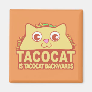 Íman Tacocat para trás II