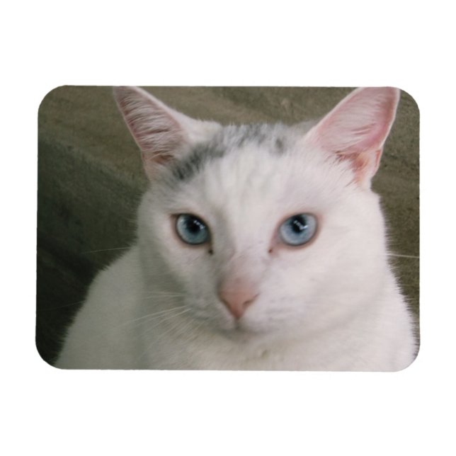 Íman Tadpole (Horizontal)