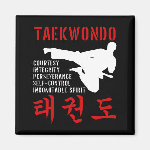 Íman Taekwondo Tenets Artes Marciais