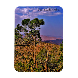 Íman Taif, Arábia Saudita