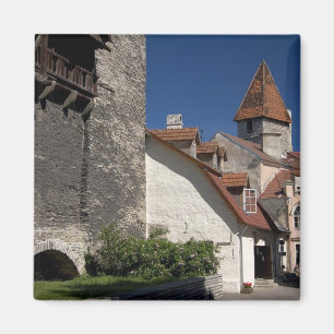 Íman Tallin, Estônia. Tallin é um tanto