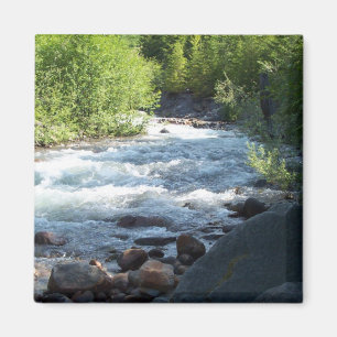 Íman Tampões brancos