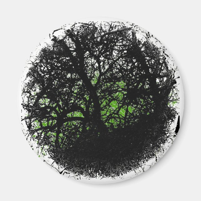 Íman Tanglewood (Frente)