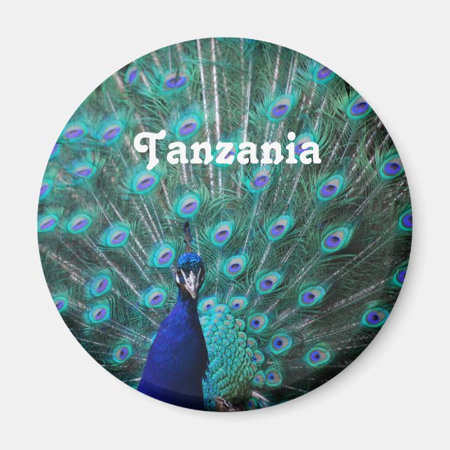 Íman Tanzânia Peacock (Frente)