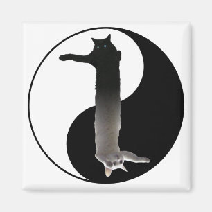 Íman Tao de Longcat