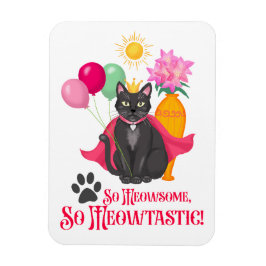 Íman Tão Meowsome, Tão Meowtastic!