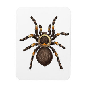 Íman Tarantula