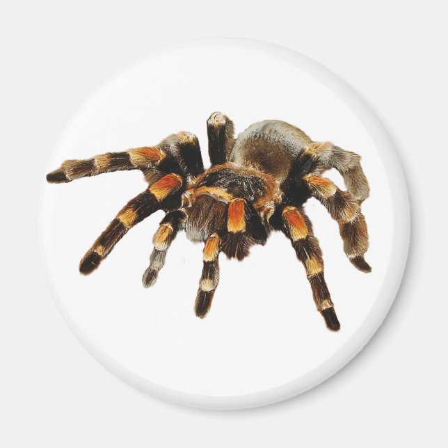 Íman Tarantula (Frente)