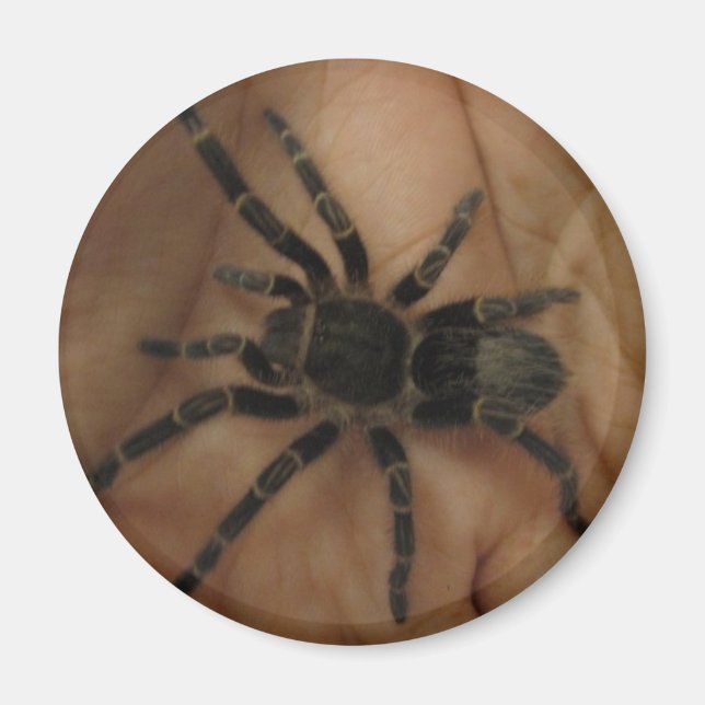 Íman Tarantula Magnet (Frente)