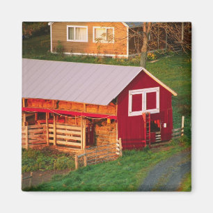 Íman Tarefas matinais na fazenda. EUA, Vermont,