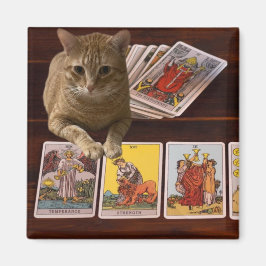 Íman Tarot Cat