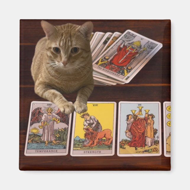 Íman Tarot Cat (Frente)
