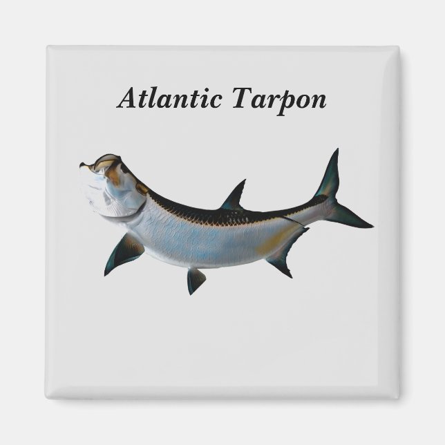 Íman Tarpon Atlântico (Frente)