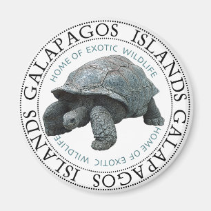 Íman Tartaruga das Ilhas Galápagos