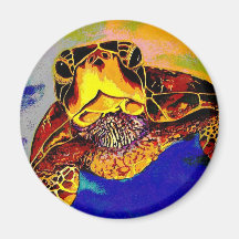 Tartaruga na sua cara!