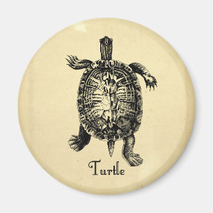 ÍMAN TARTARUGA VINTAGE
