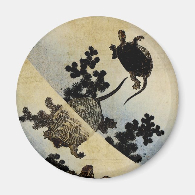 Íman Tartarugas de Nado (Frente)