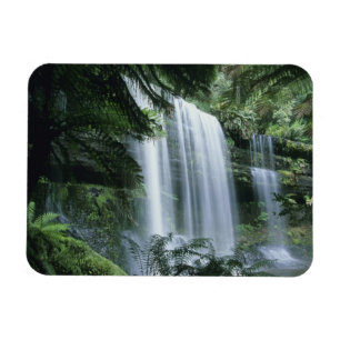 Íman Tasmânia, Parque Nacional Mt. Field, Russell Falls