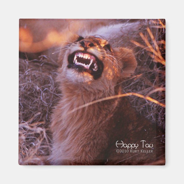 Íman Tau Feliz, Filhote de Leão Sorridente (Frente)