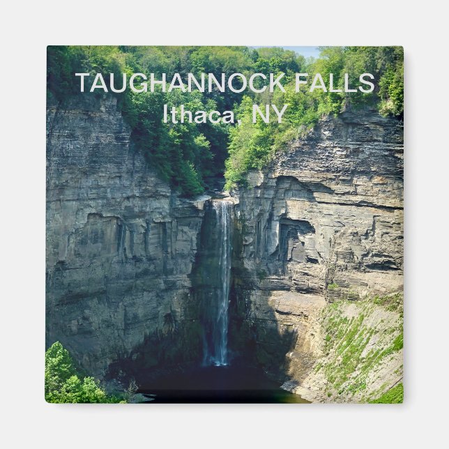 Íman Taughannock Falls, Ithaca NY Magnet (Frente)