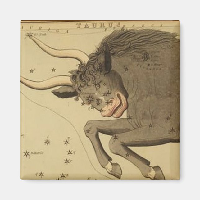 Íman Taurus Magnet (Frente)