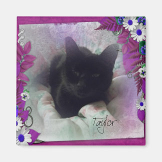 Íman Taylor Refrigerator Magnet