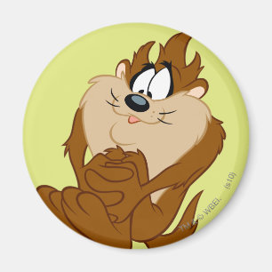 Íman TAZ™ posicionando 4