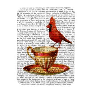 Íman Teacup E Cardeal Vermelho