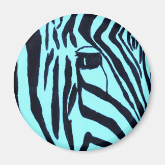 Íman Teal Zebra