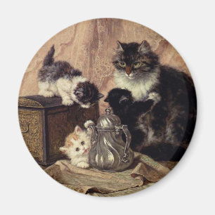 Íman Teatime_For_Kittens