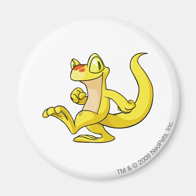 Íman Techo Amarelo (Frente)