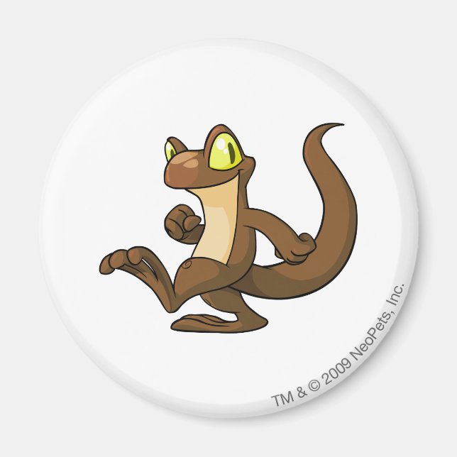 Íman Techo Brown (Frente)