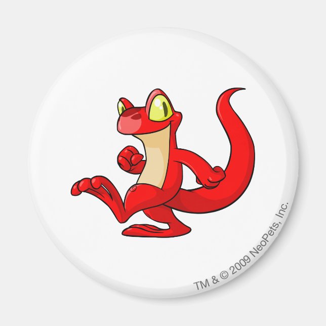 Íman Techo Red (Frente)