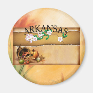 Íman TEE Arkansas Magnets