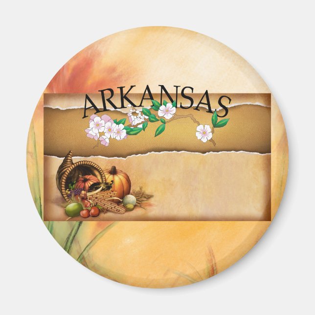 Íman TEE Arkansas Magnets (Frente)