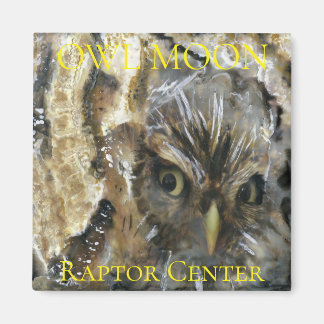 Íman Tela de Coruja