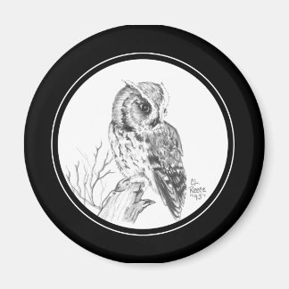 Íman Tela de Coruja de Lixo no lápis