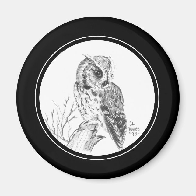 Íman Tela de Coruja de Lixo no lápis (Frente)