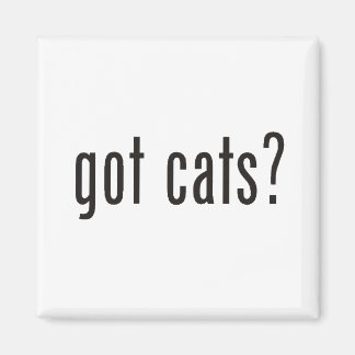 Íman tem gatos?